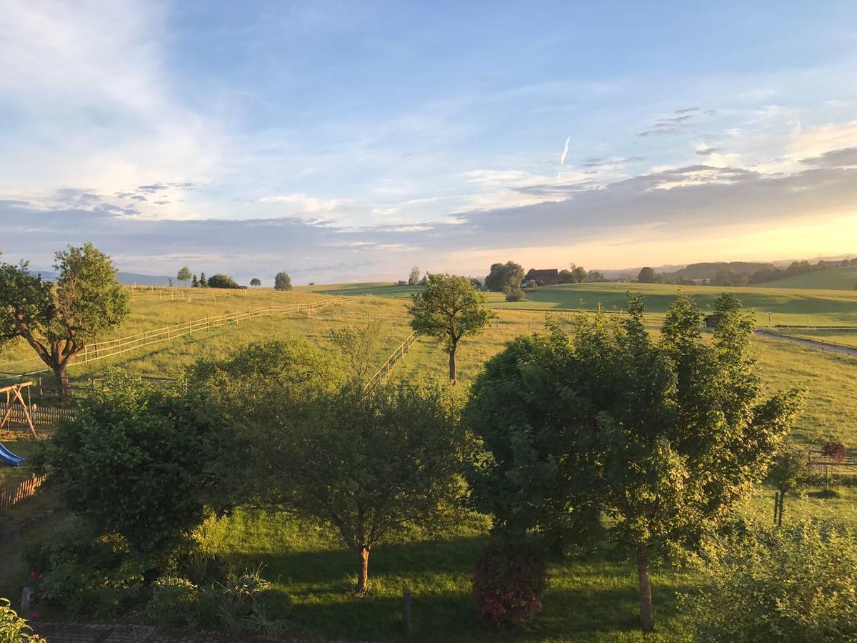 Allgau Meadow Ranch Hergatz Buitenkant foto